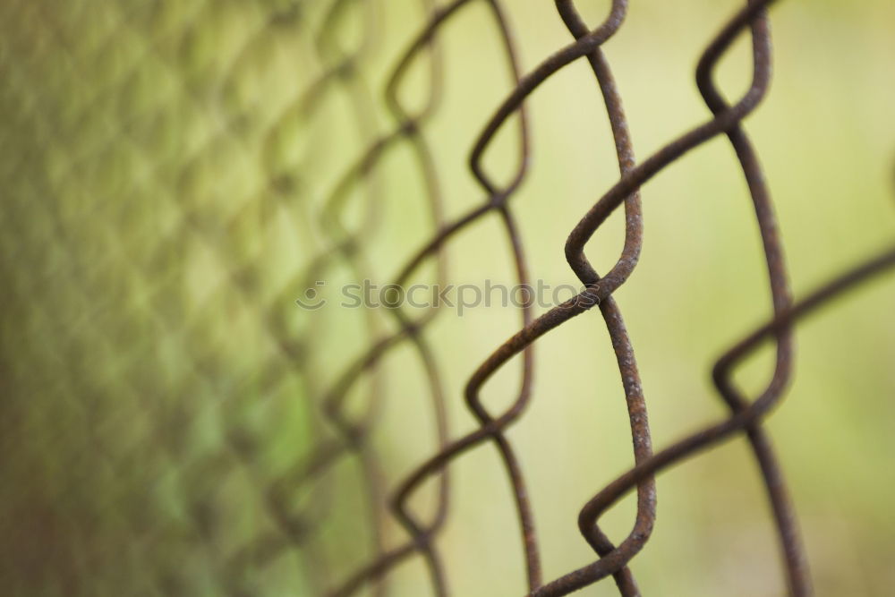 Similar – Fence and its shadow