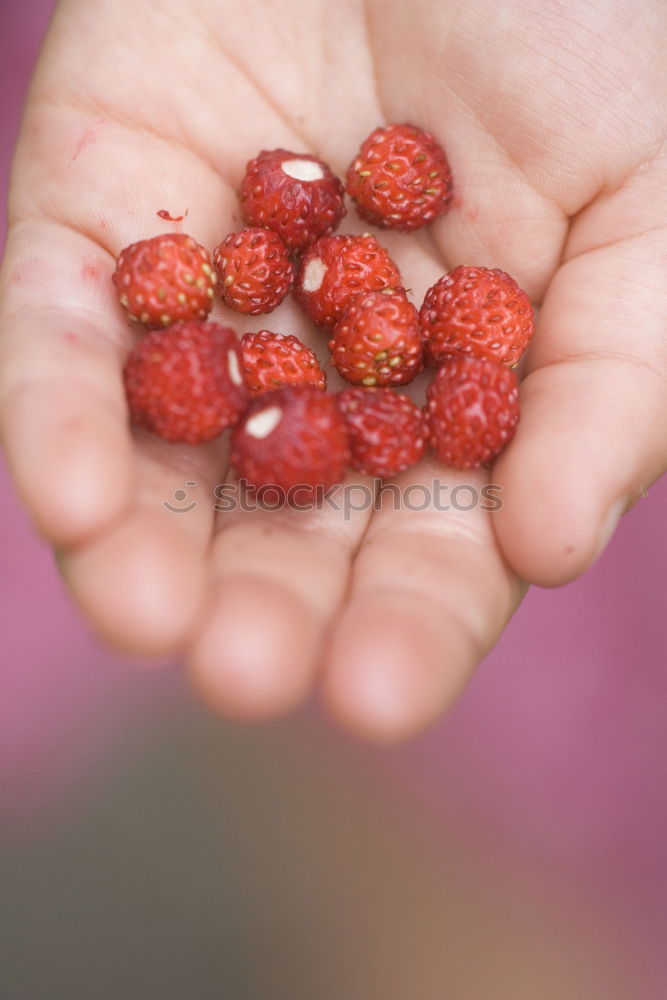 Similar – a handful of berries Food