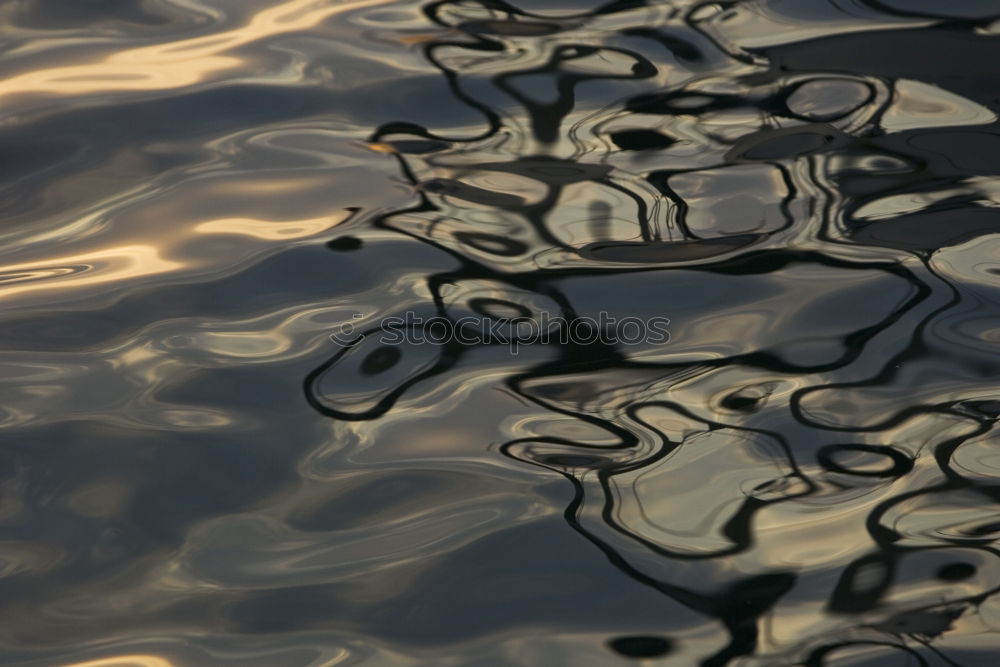 Similar – Foto Bild Eigelb Wasser Urelemente