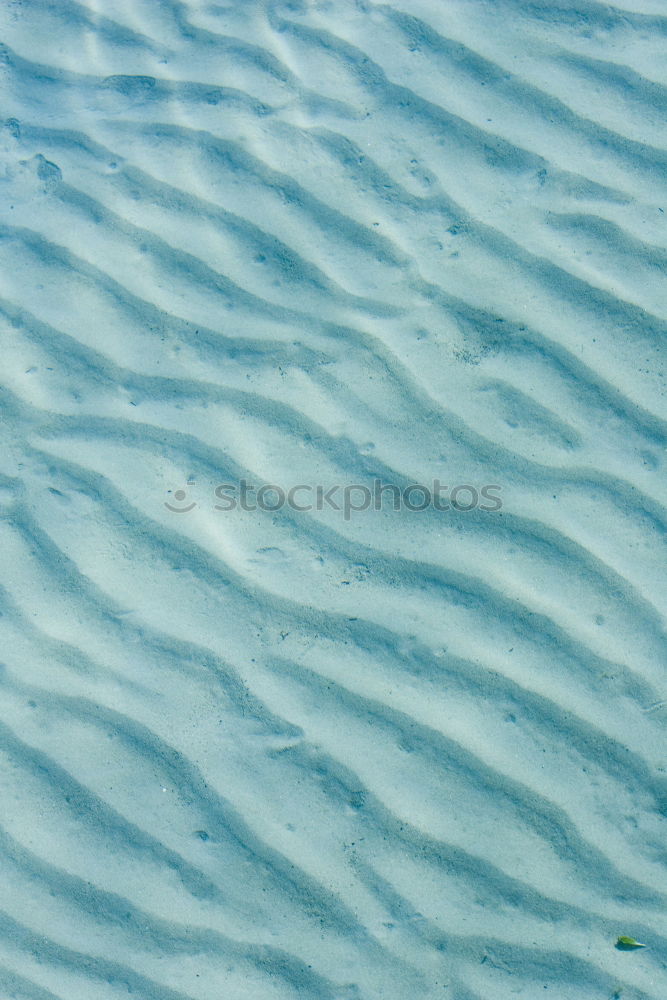 Similar – Image, Stock Photo T white blue Wood Line