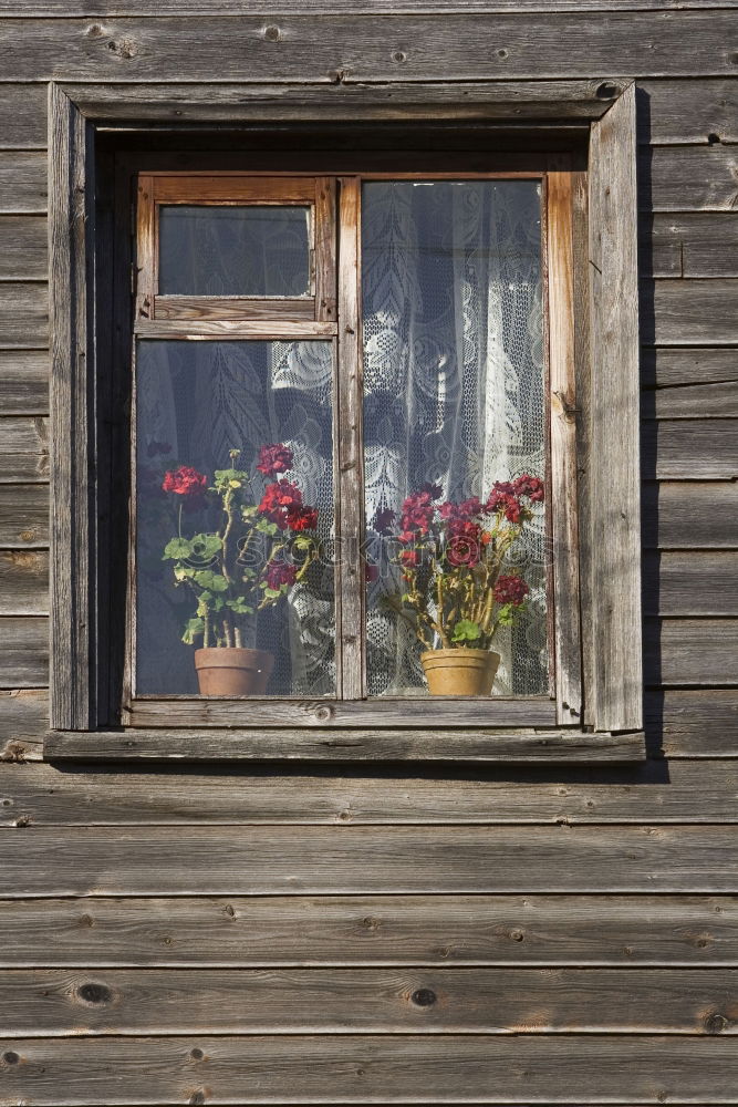 Image, Stock Photo In the Kashubian Land