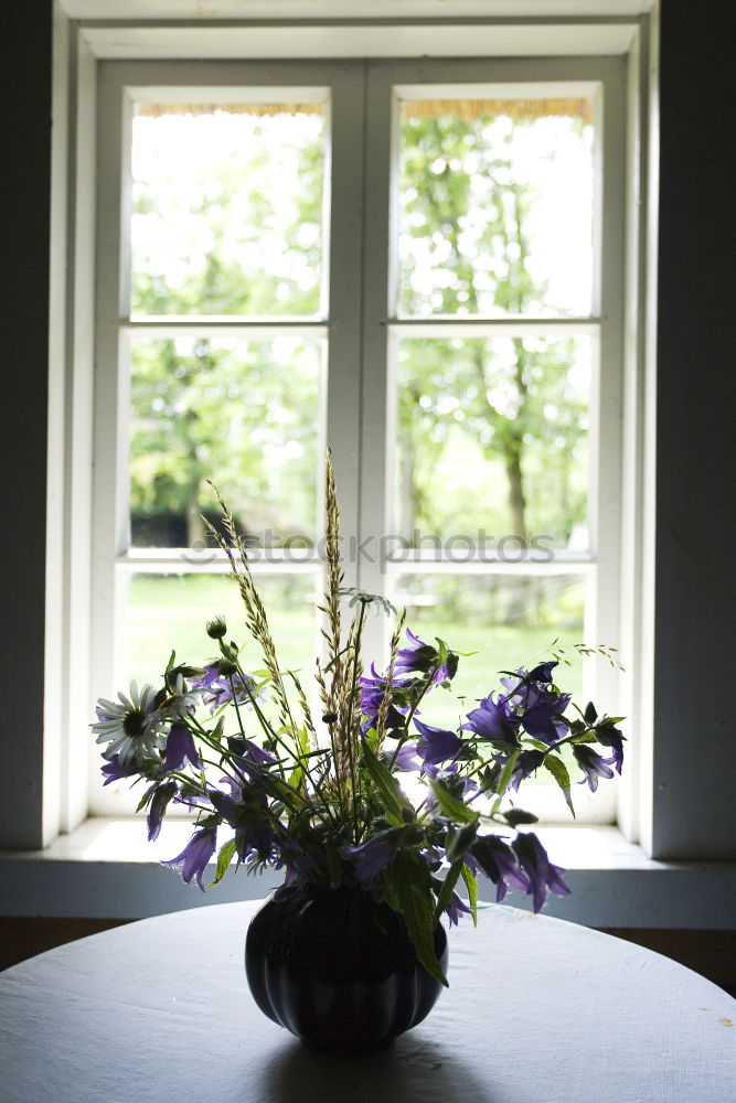 Similar – Foto Bild Stillleben Blume Blüte