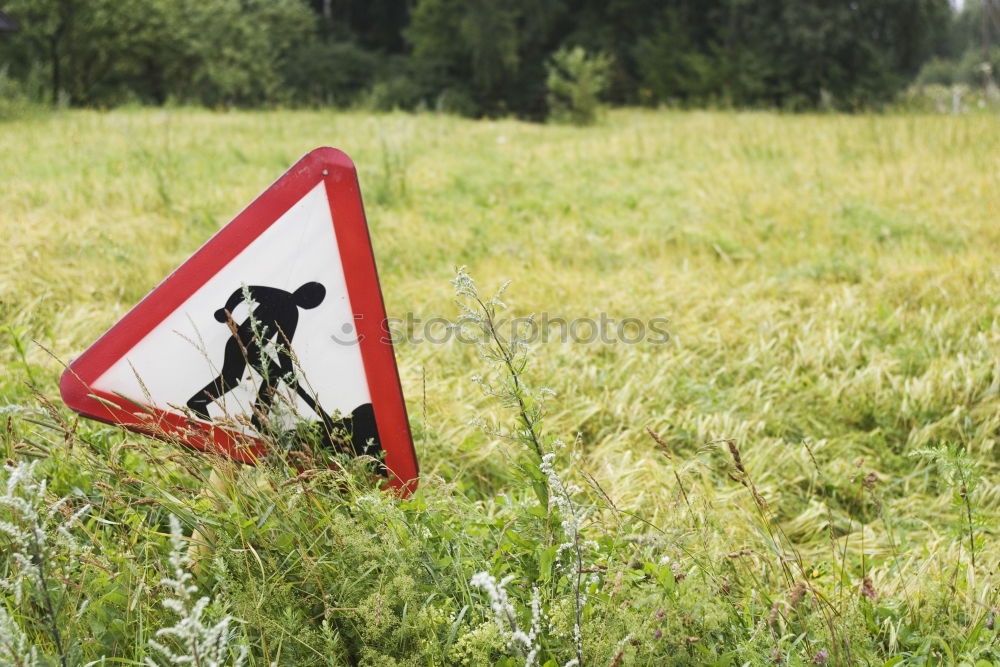 Similar – Foto Bild Wir im Wald im Wald Natur