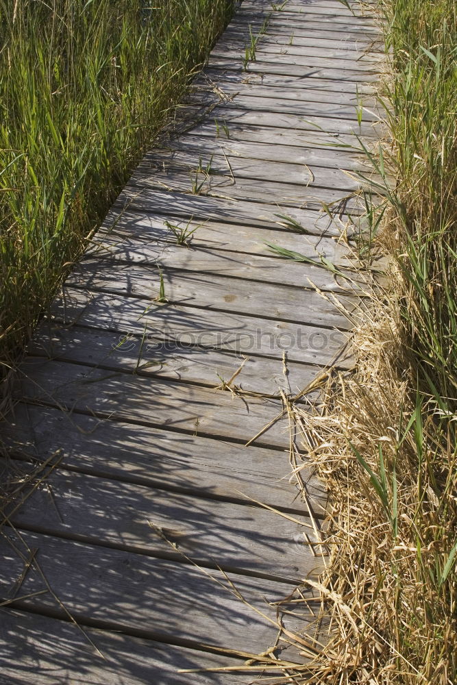 Similar – Strange field stones Hill