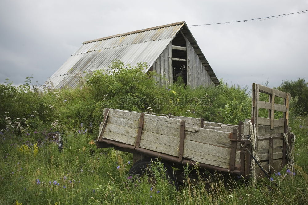 Similar – Image, Stock Photo Home Sweet Home Summer