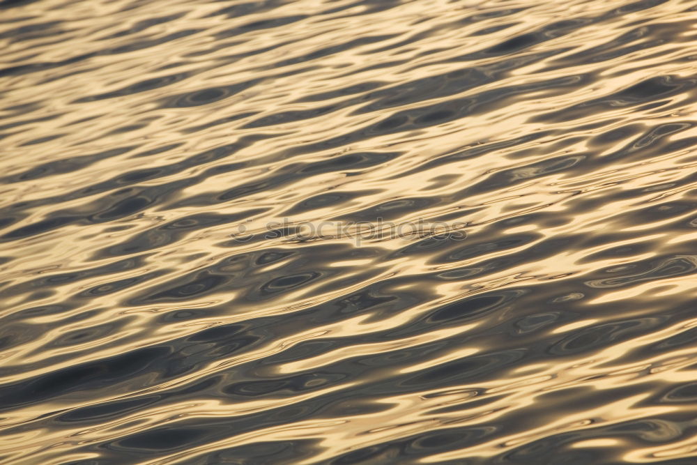 Image, Stock Photo shadow hunter Human being