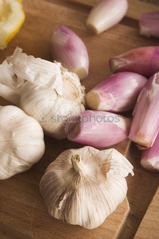 Similar – Image, Stock Photo golden chanterelle mushrooms with herbal spices