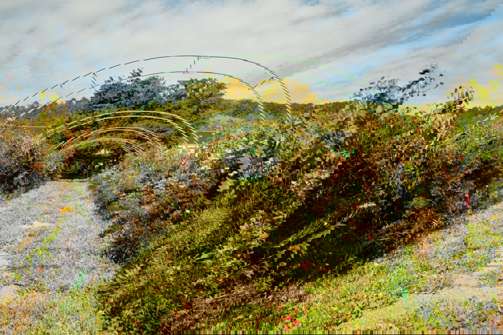 Foto Bild eigenbedarf Natur