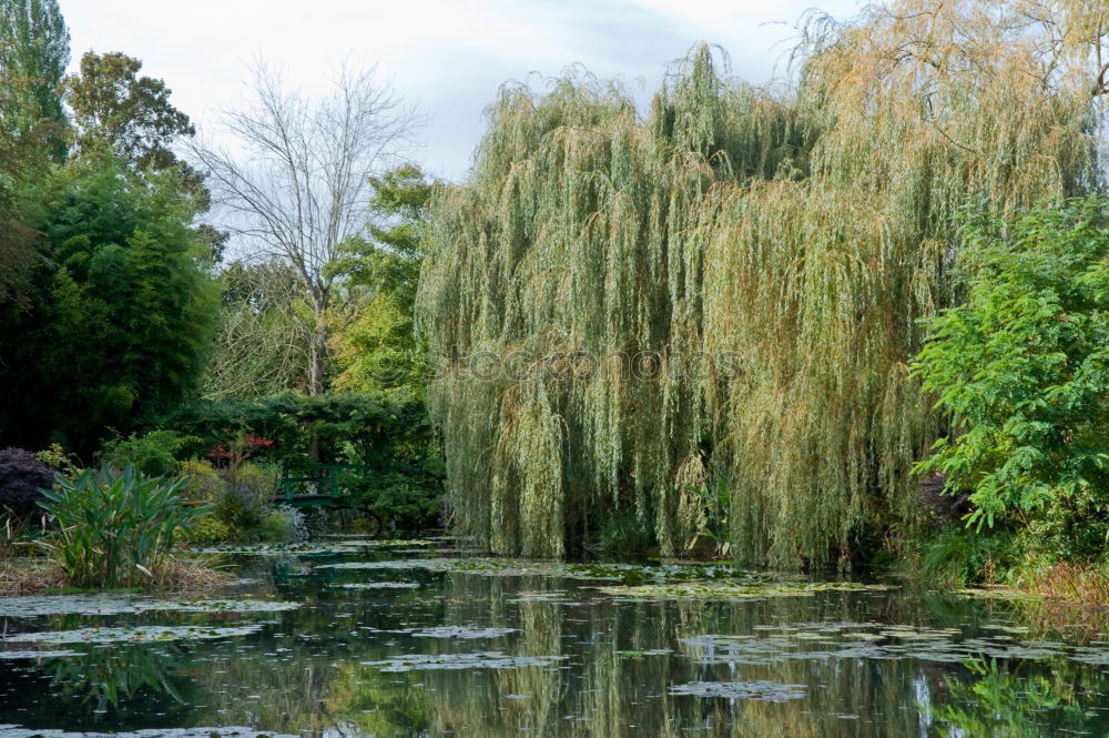 Similar – landscape park Park