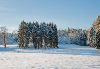 Similar – winter hike in the northern Black Forest on a sunny day