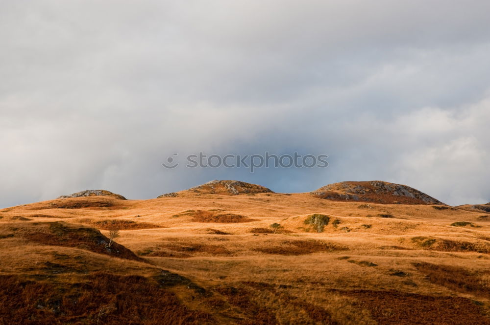 Similar – Iceland Environment Nature