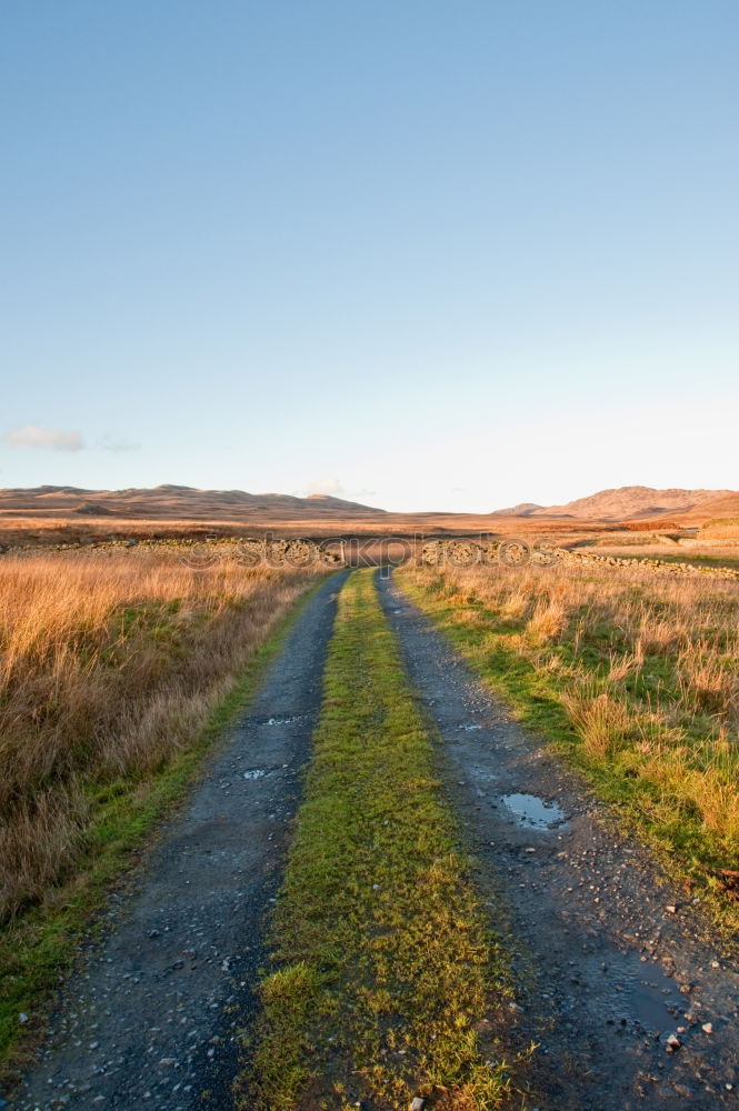 Similar – er geht ruhig wandern