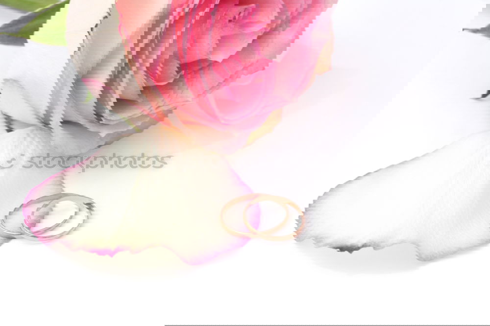 Similar – Image, Stock Photo Bowl with water and pink roses flowers