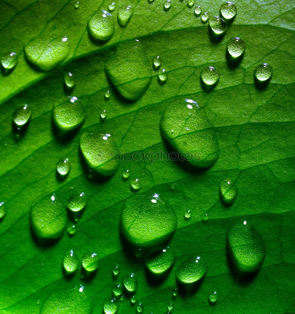 Similar – Waterdrops Wassertropfen