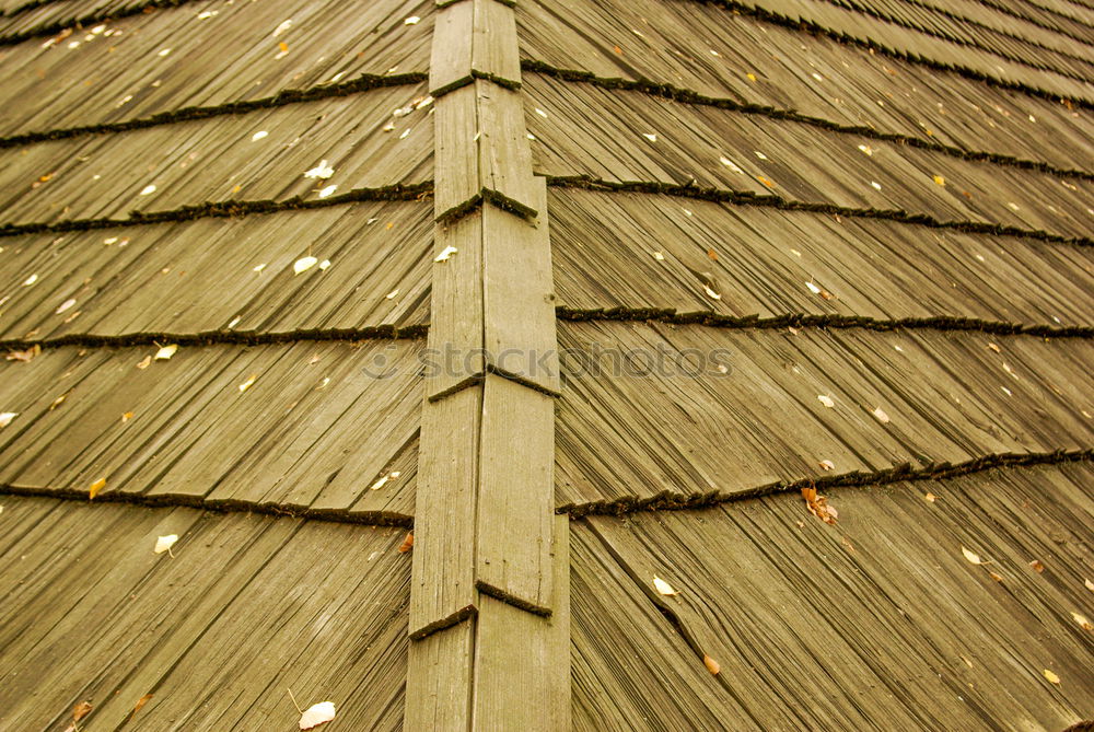 Similar – Foto Bild wenn der wind die paletten streift.