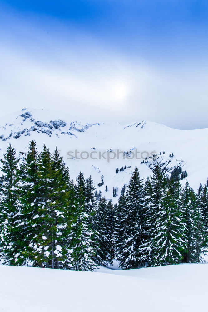 Similar – Image, Stock Photo hut Winter Massive Calm