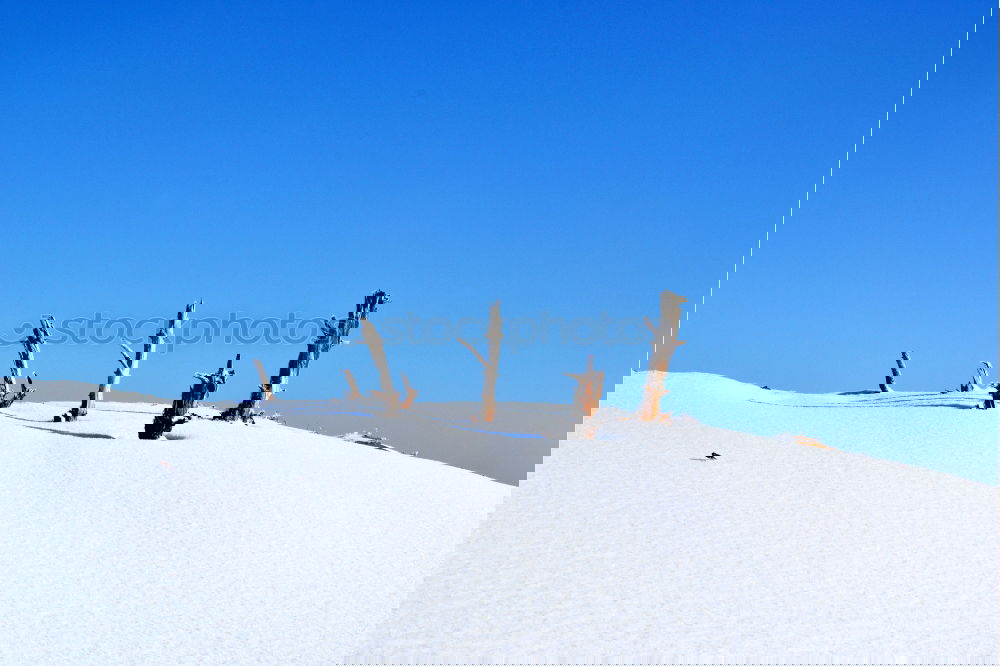 Similar – Image, Stock Photo Extreme sledging …