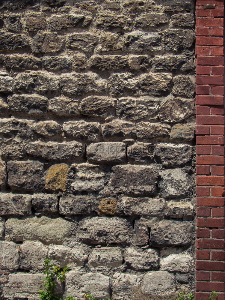 Similar – Image, Stock Photo Cologne Cathedral around the corner