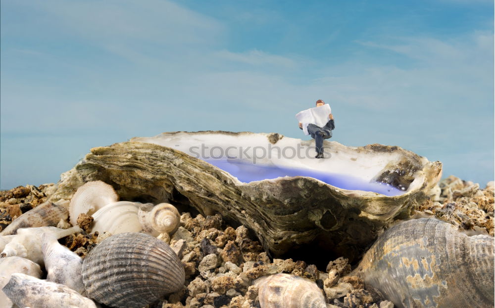 Similar – Image, Stock Photo Norderney 1986 Beach