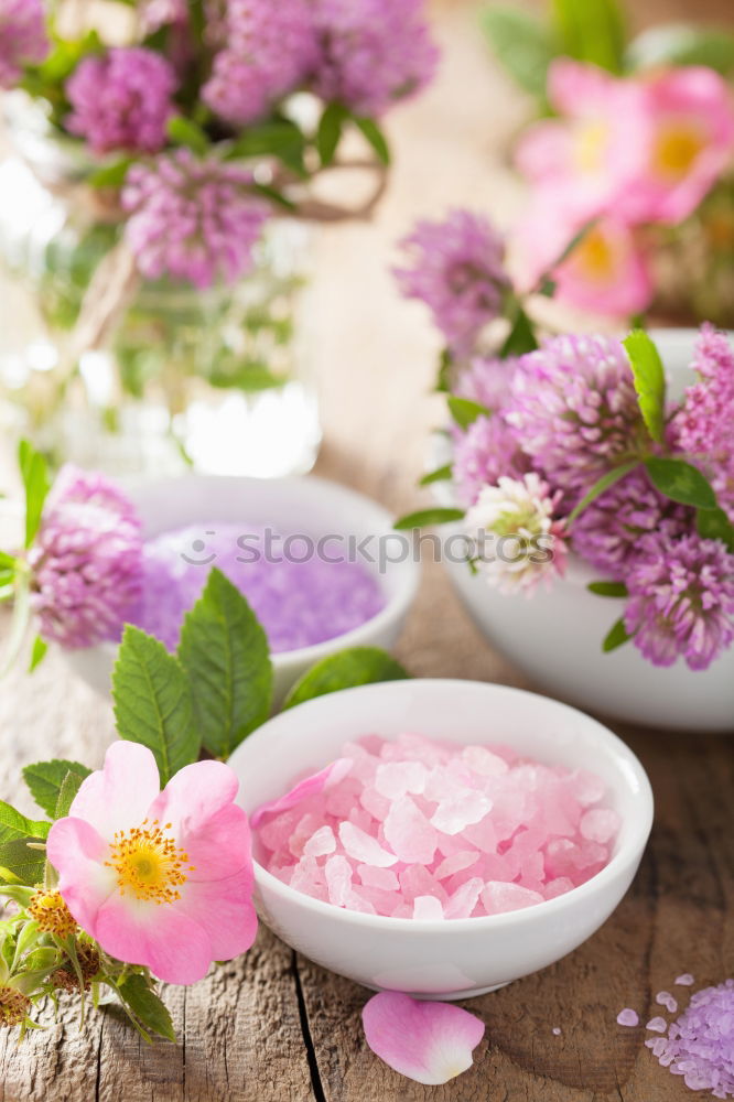 Similar – Image, Stock Photo Natural cosmetics for skin care