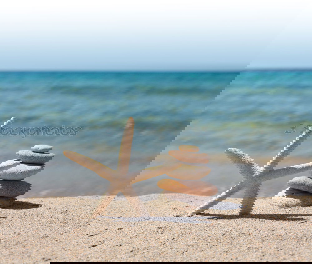 Similar – Image, Stock Photo On the beach of the Baltic Sea