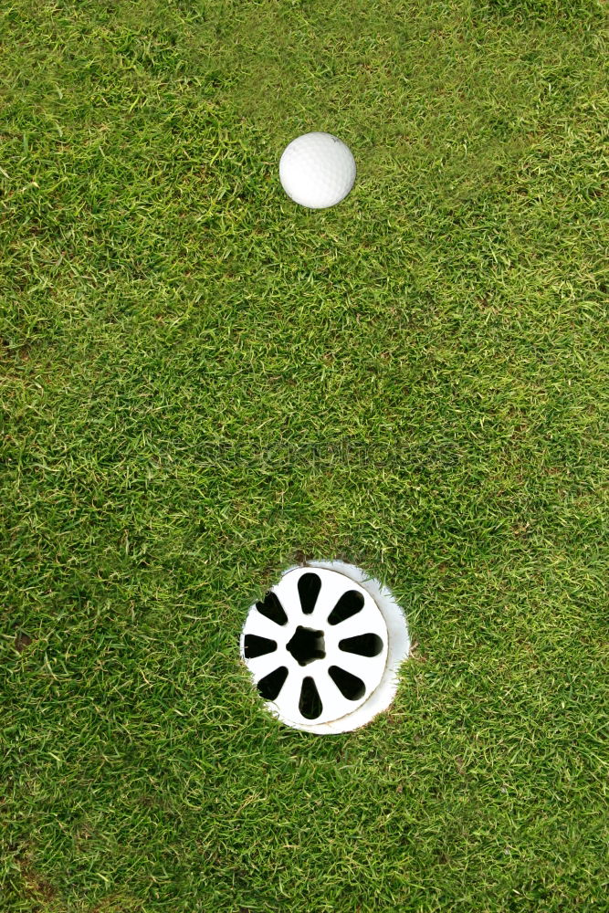 Similar – Minigolf ball holed on a minigolf course