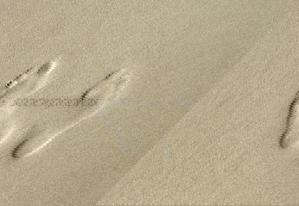 Similar – Image, Stock Photo traces in the sand…