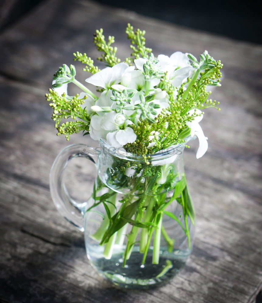 Image, Stock Photo fresh herbs and flowers in a metal bowl on a wooden table