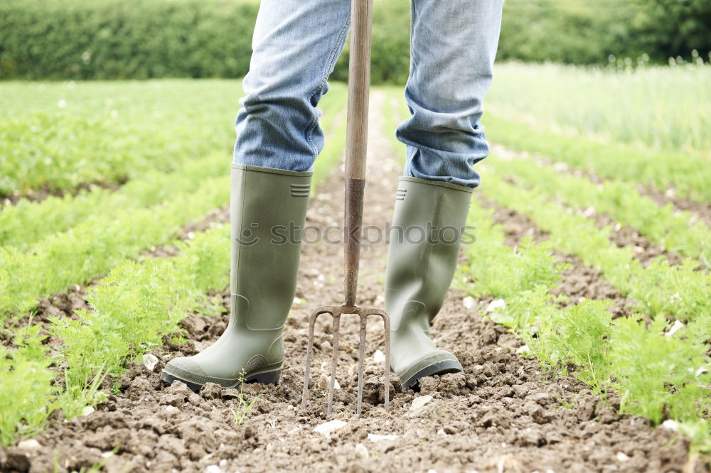 Similar – Image, Stock Photo Hoeing potatoes Summer