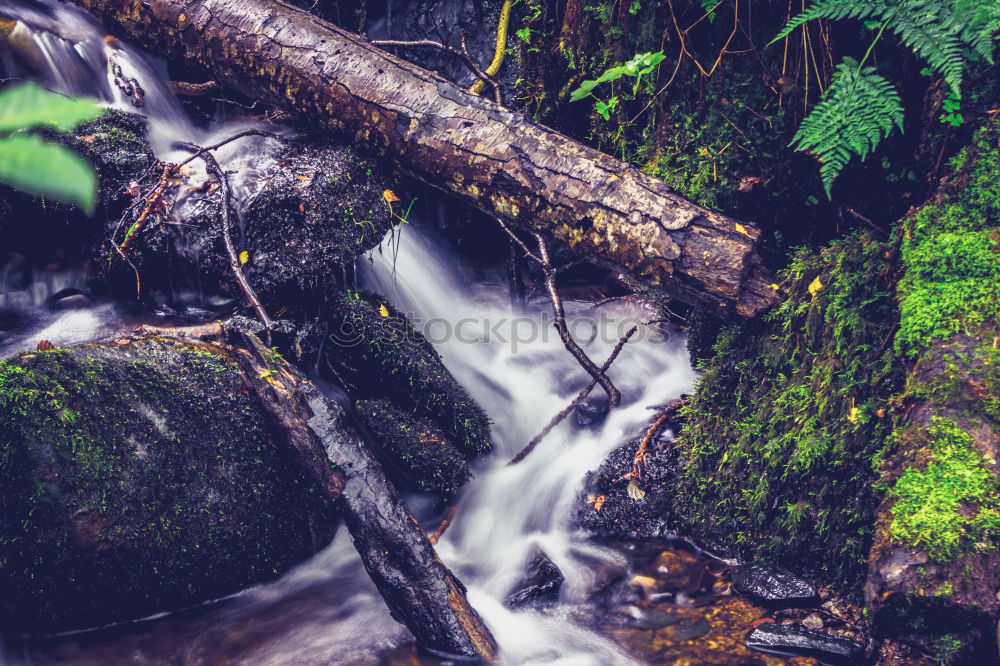 Similar – Image, Stock Photo waterfall Harmonious