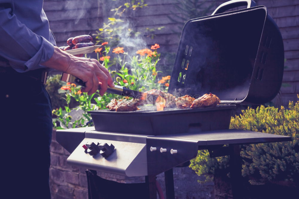 Similar – Image, Stock Photo Feng Shui Snack Meat