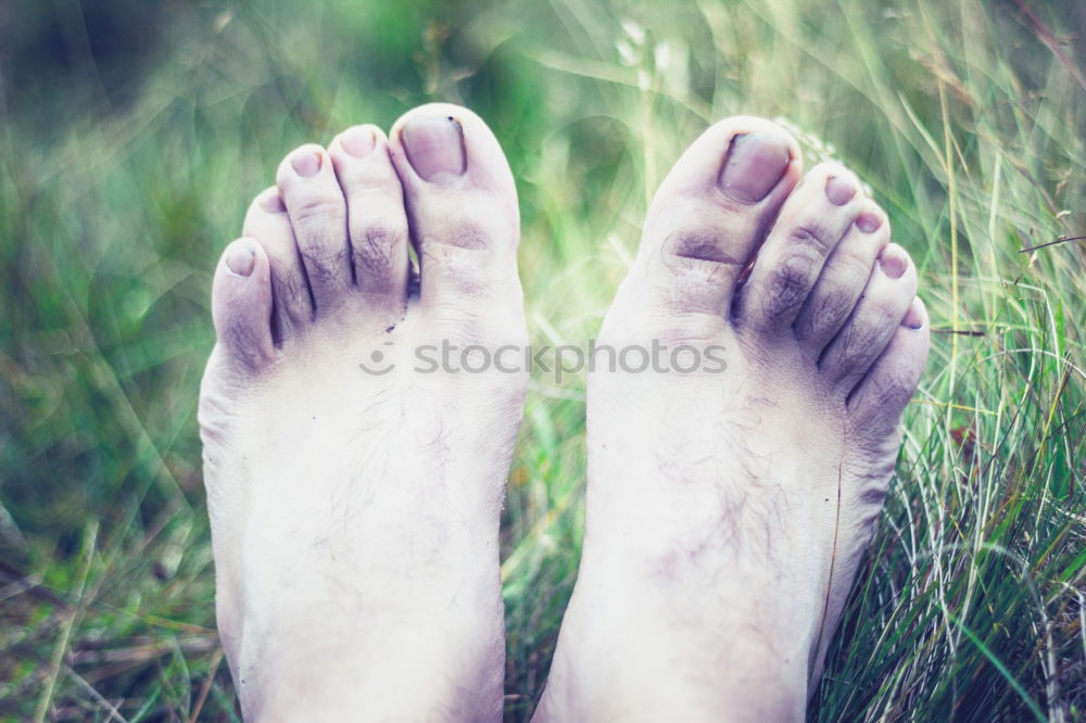 Similar – black-footed meadow Feet