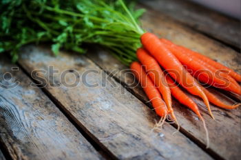 Similar – Fresh carrots tied with a rope