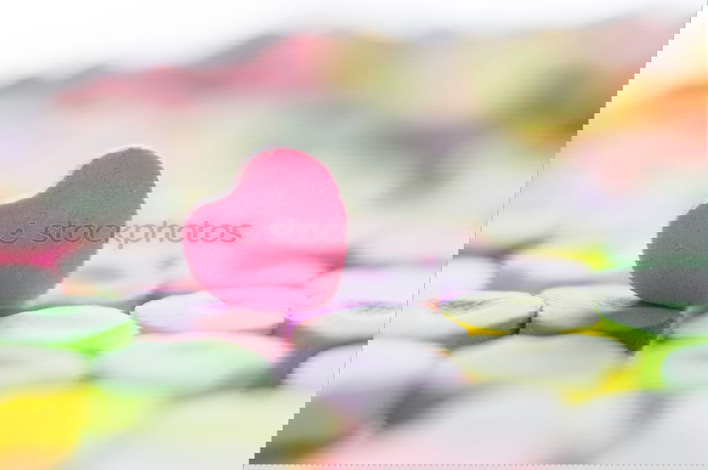 Similar – Image, Stock Photo sweet LOVE Food Dessert