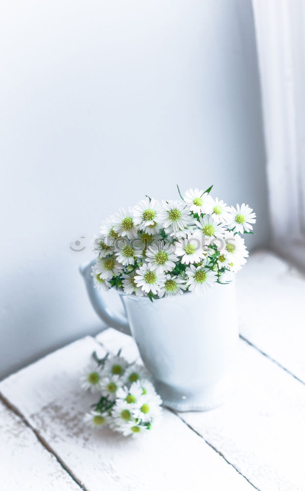 Similar – Image, Stock Photo Easter egg made of concrete decorated with small snowdrops