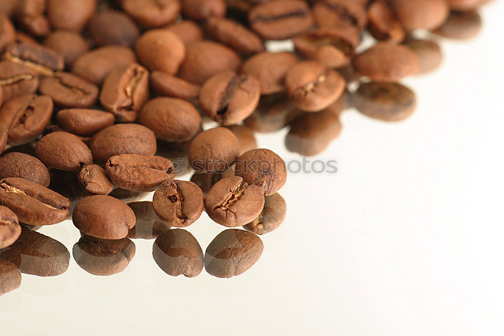 Similar – coffee beans Village Beans