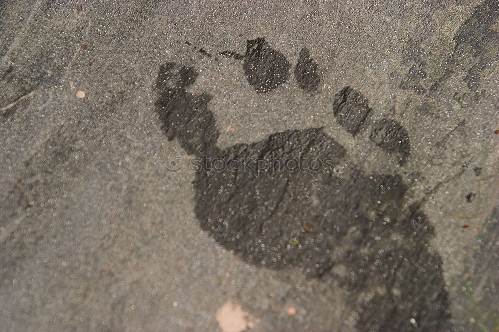 Similar – Image, Stock Photo barefoot Feet Wet Barefoot