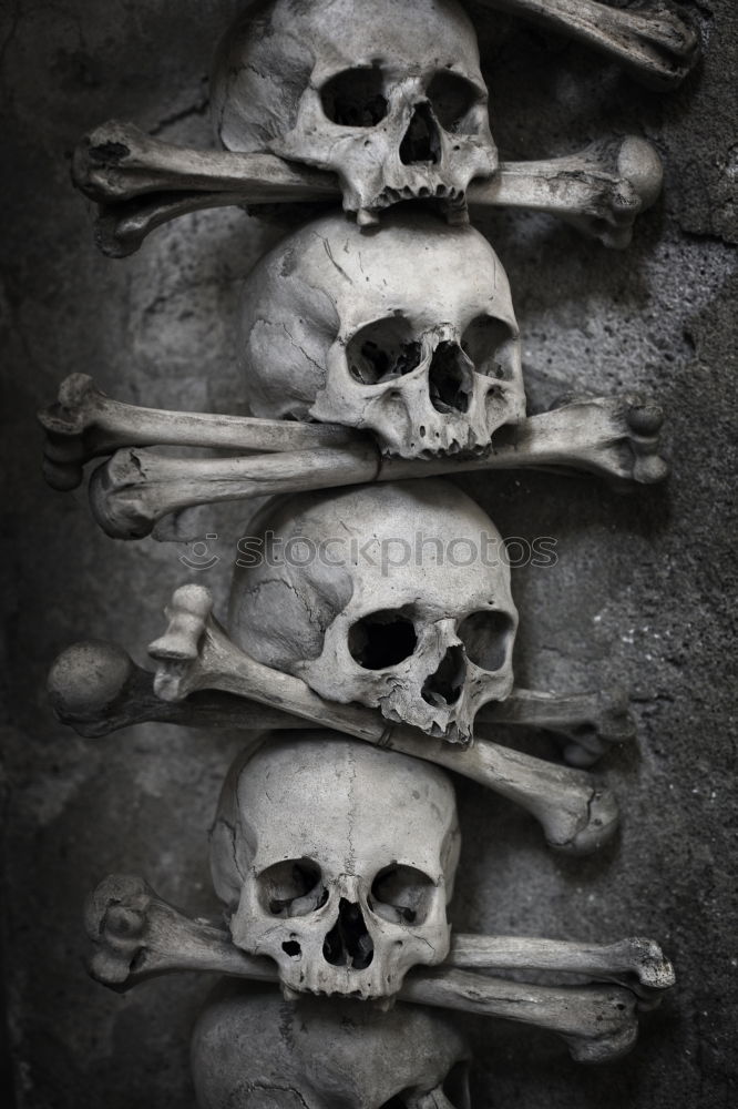 Similar – Foto Bild Grabskulptur, Stalieno, Genua