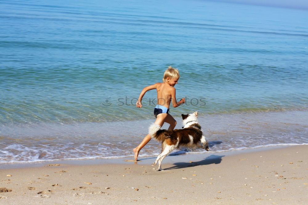 Similar – Image, Stock Photo young male playing with dog on beach during sunrise