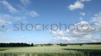 Similar – Foto Bild Rapsfeld Feld Wiese Wolken