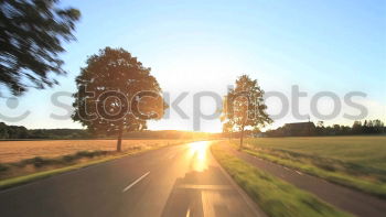 Similar – Image, Stock Photo Rapsfeld in the evening sun