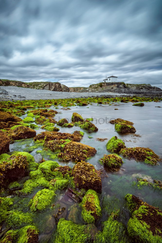 Similar – Image, Stock Photo At the foot of the Highlands.