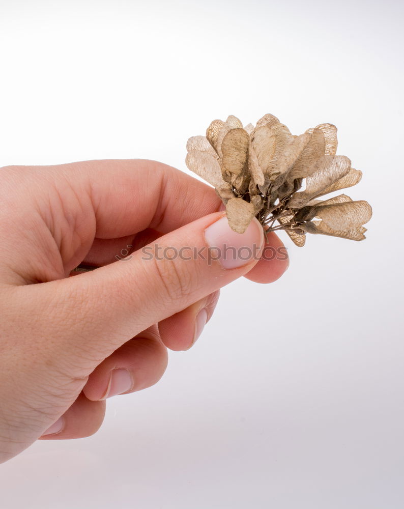 Similar – Image, Stock Photo Hand full of FALSCH gold jewellery
