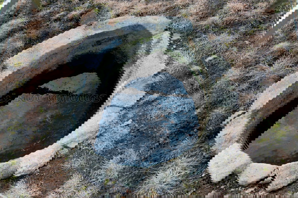 Similar – Image, Stock Photo entry Gully