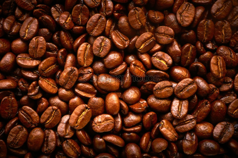 Similar – Image, Stock Photo espresso beans Espresso