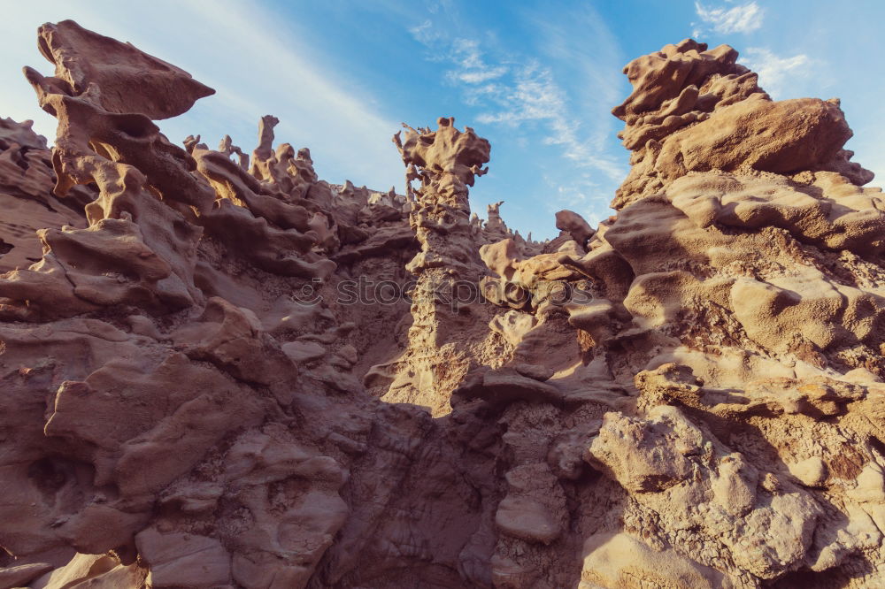 Similar – Image, Stock Photo desert guard Colour photo