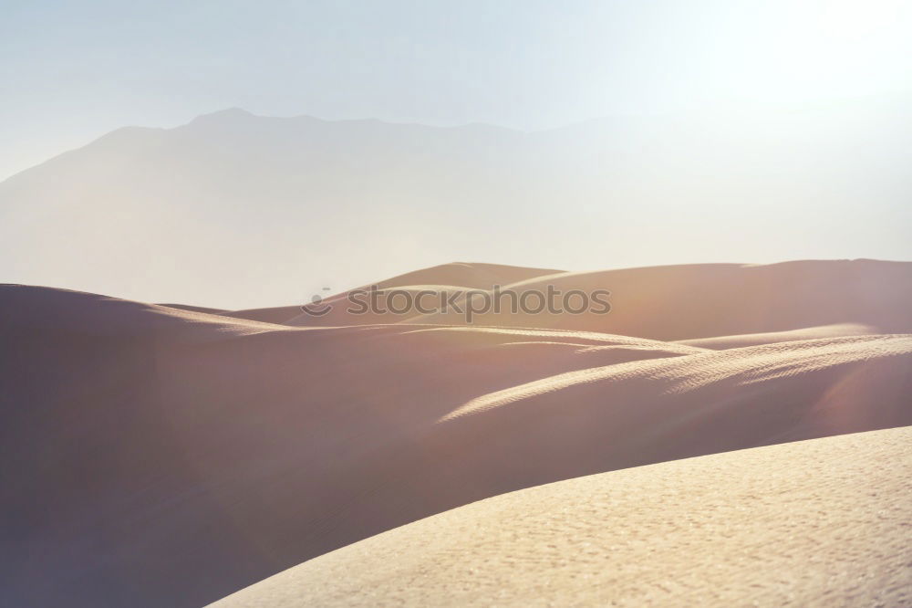 Similar – Image, Stock Photo Anonymous man walking on sand hills