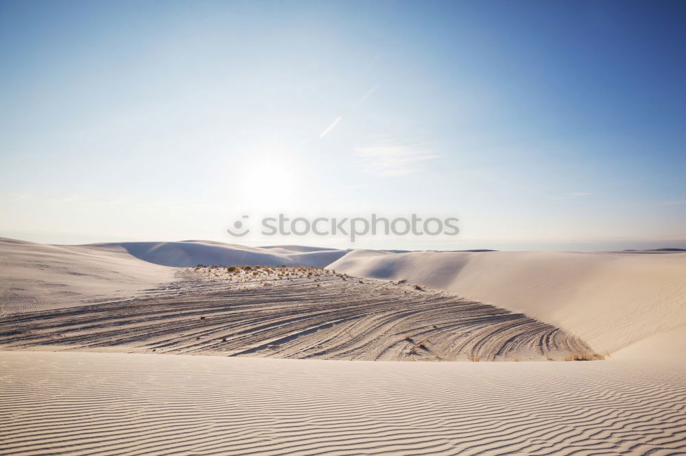 Similar – sea of sand Nature