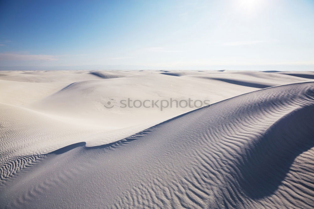 Similar – Image, Stock Photo my sunshine Well-being