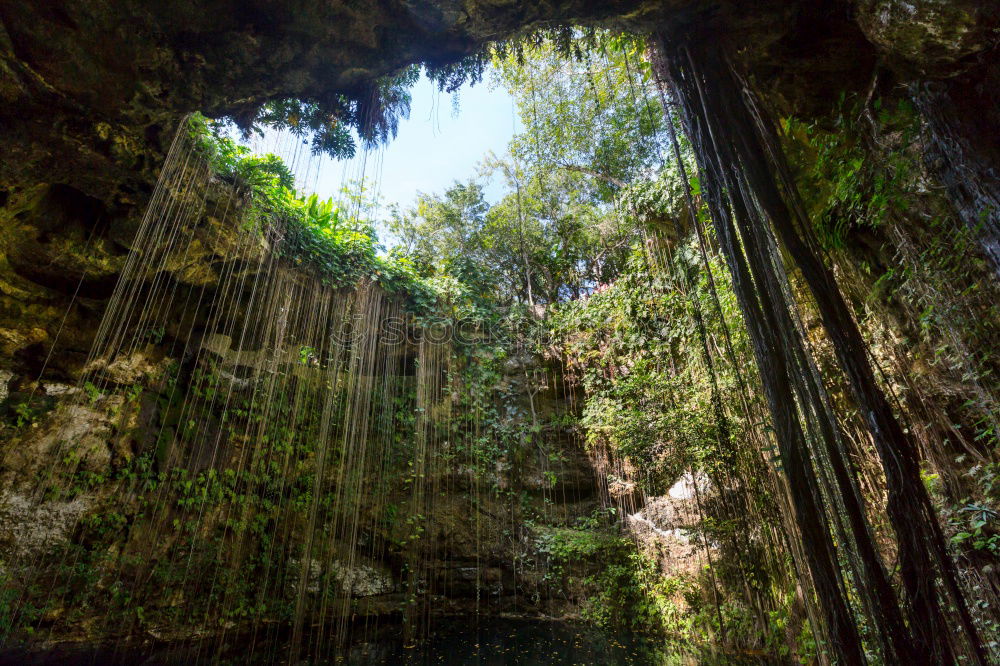 Similar – Image, Stock Photo canyon Environment Nature
